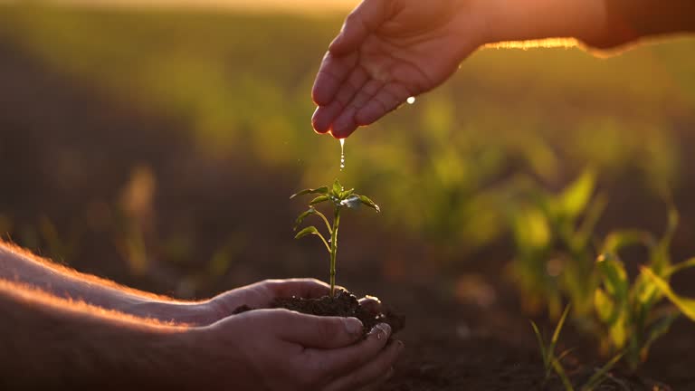 Environmental Protection
